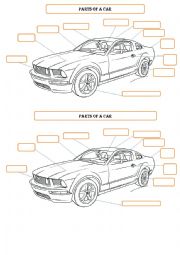 English Worksheet: PARTS OF A CAR