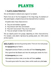 English Worksheet: PLANTS