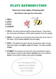 English Worksheet: PLANTS REPRODUCTION