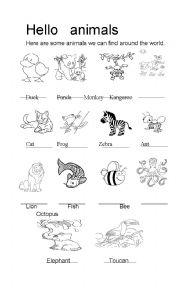 Hello animals Part 3 Answer sheet