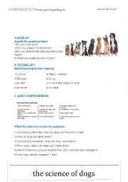English Worksheet: Conversation about DOGS