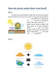 English Worksheet: Learn about photosynthesis