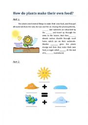 English Worksheet: Learn about photosynthesis