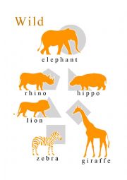 English Worksheet: Milous The Basics - Animals - Wild Animals Poster