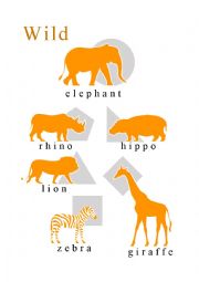 Milous The Basics - Animals - Wild Animals Poster