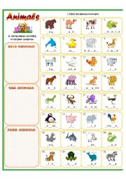 English Worksheet: ANIMALS