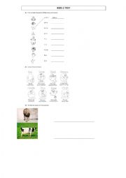 English Worksheet: Test - Colours, animals, clothes, parts of the body