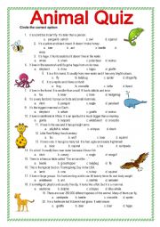 English Worksheet: Animal Quiz