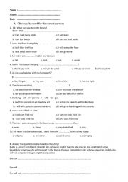 English Worksheet: Can and  Will 
