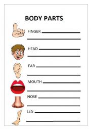 English Worksheet: BODY PARTS