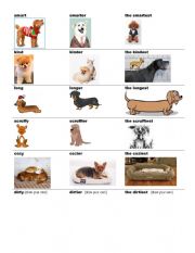 English Worksheet: Comparison of adjectives