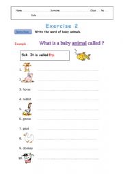 English Worksheet: baby animals
