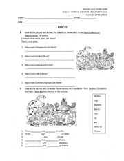 English Worksheet: countable-uncountable