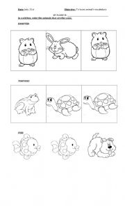 English Worksheet: animals