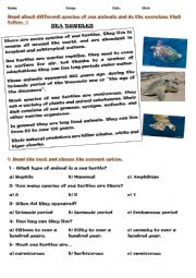 Sea animals activities.