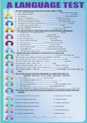 English Worksheet: A LANGUAGE TEST