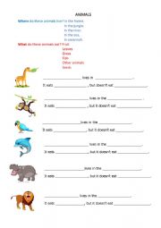 English Worksheet: What do animals eat?