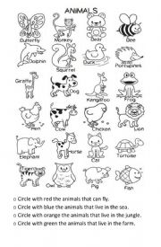English Worksheet: ANIMAL CLASIFICATION