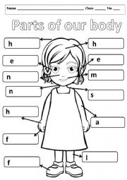 English Worksheet: Parts of body