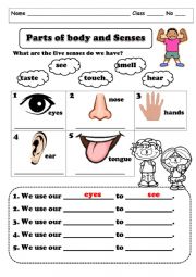 English Worksheet: Parts of body and senses