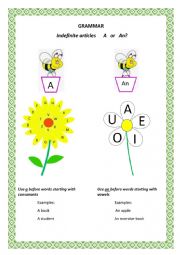 English Worksheet: Indefinite articles