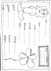 English Worksheet: Body parts