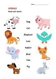 ANIMALS WORKSHEET