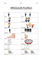 English Worksheet: irregular plurals