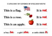 Category of Gender of English nouns