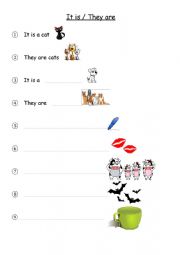 English Worksheet: singular and plurals