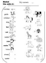 English Worksheet: Match the animals