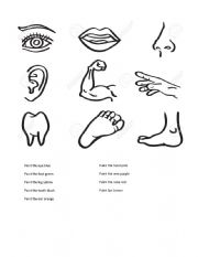 body parts 