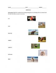 English Worksheet: Animals