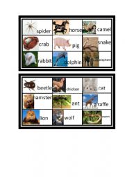 Animals bingo