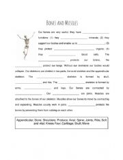 English Worksheet: Bones and Muscles