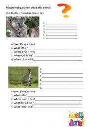 General questions-animals
