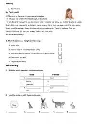 English Worksheet: test about family