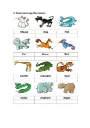 English Worksheet: Pets and Wild animals