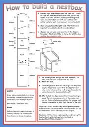 English Worksheet: How to build a nestbox !
