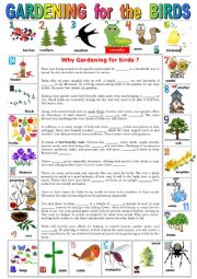 English Worksheet: GARDENING for the BIRDS. Reading comprehension + KEY