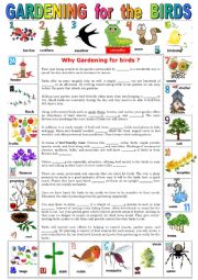 English Worksheet: GARDENING for the BIRDS. Reading comprehension + KEY