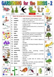 GARDENING for the BIRDS - 2   Reading comprehension + KEY