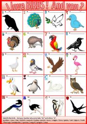 English Worksheet: I love birds !  And you ?  + KEY