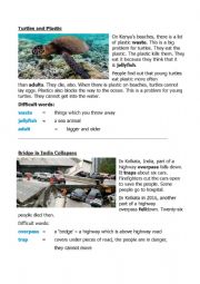 English Worksheet: Easy Article