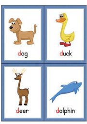 Letter D Flashcards