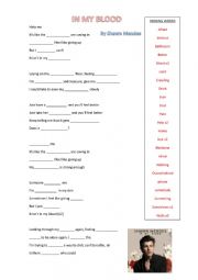 English Worksheet: Shawn Mendes