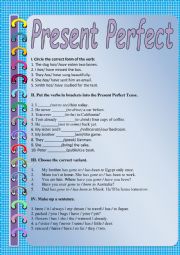 English Worksheet: Present Perfect
