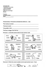 English Worksheet: Animals test