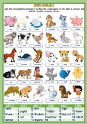 English Worksheet: BABY ANIMALS NAMES (1of 2)