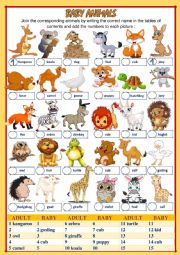 English Worksheet: BABY ANIMALS (2 of 2)